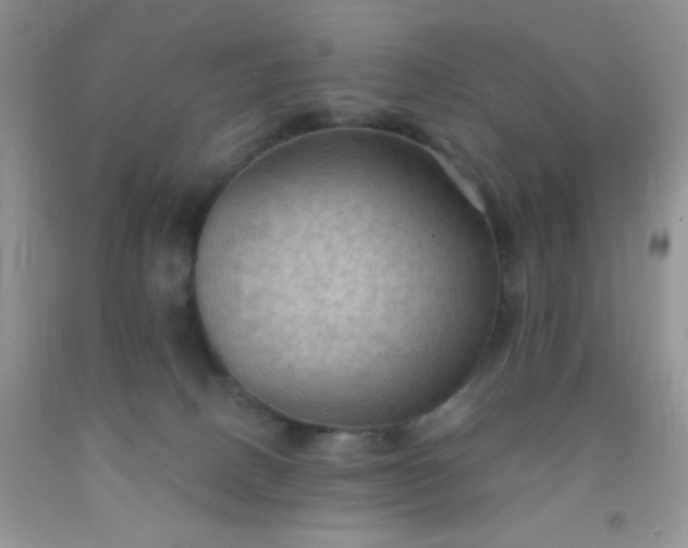 X0000092030082200709201621