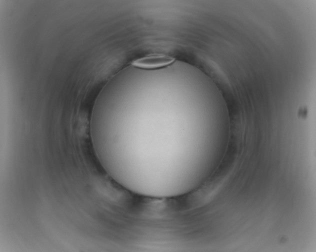 X0000092030083200709201621