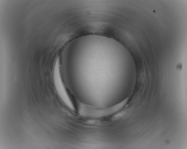 X0000092030084200709201621