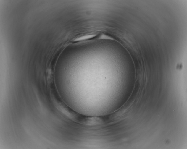 X0000092030087200709201621