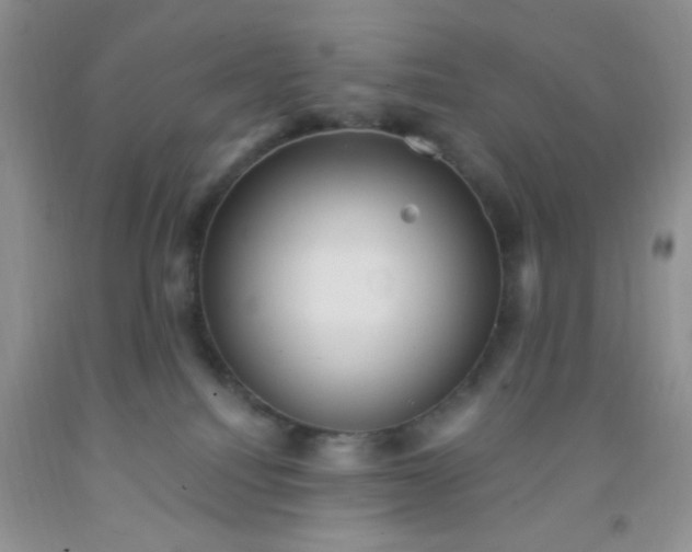 X0000092030088200709201621