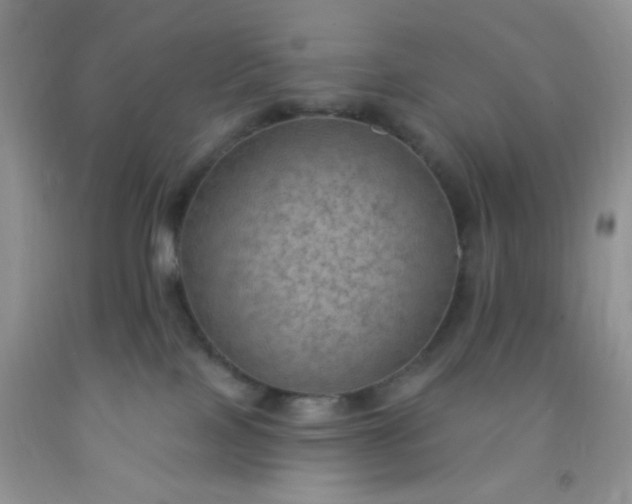 X0000092030089200709201621