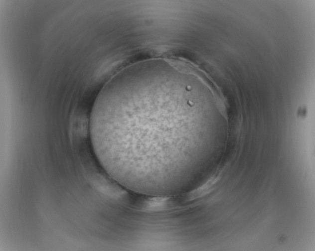 X0000092030090200709201621