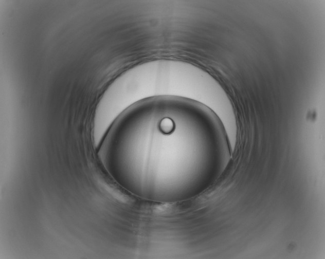 X0000092030092200709201621