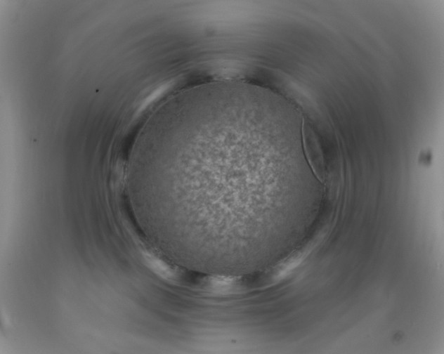 X0000092030093200709201621