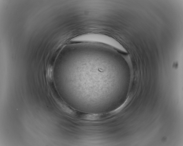 X0000092030094200709201621