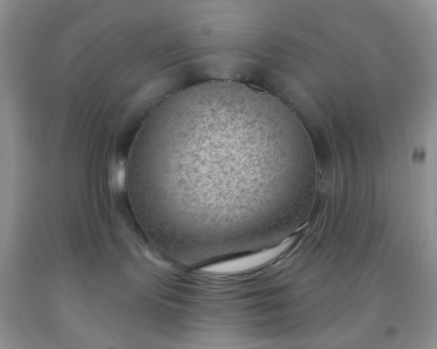 X0000092030095200709201621