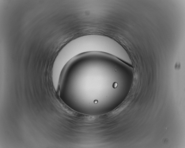 X0000092030096200709201621