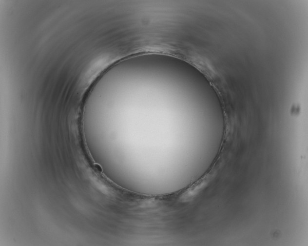 X0000092030098200709201620