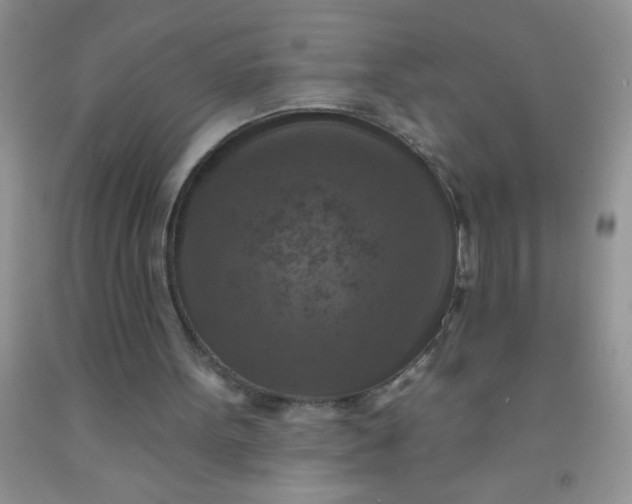 X0000092030099200709201620