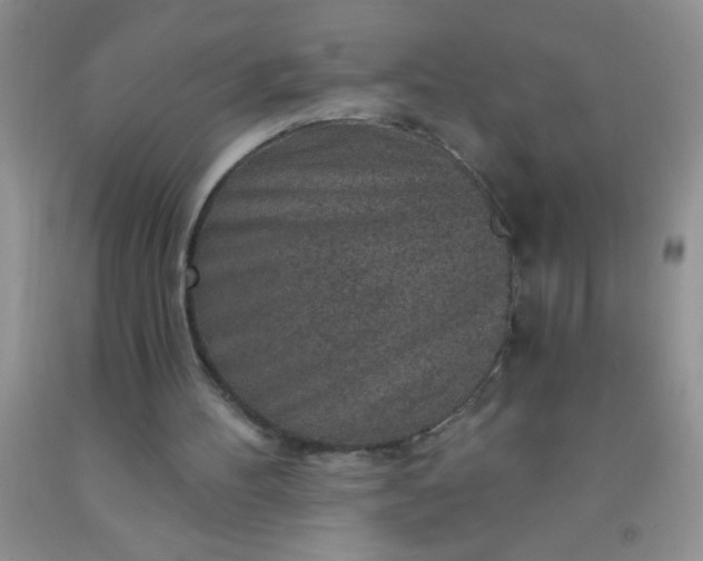 X0000092030100200709201620