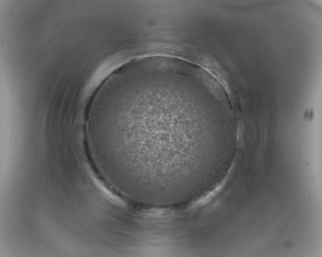 X0000092030101200709201620