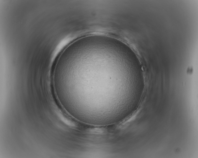 X0000092030102200709201620