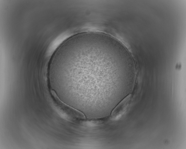 X0000092030103200709201620