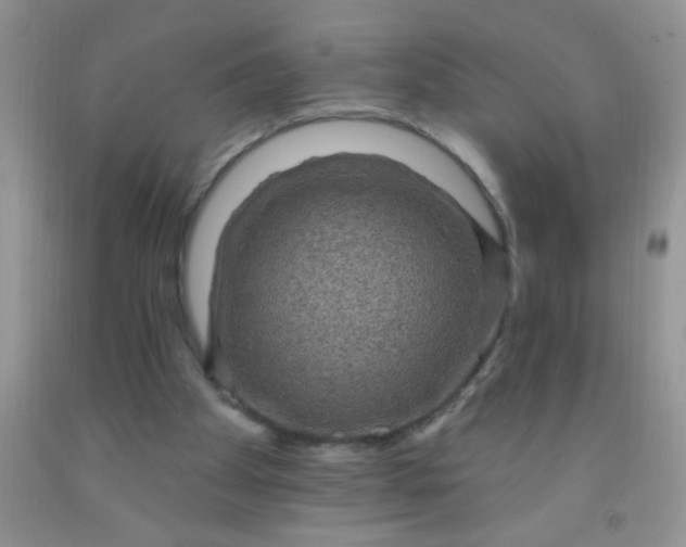 X0000092030105200709201620