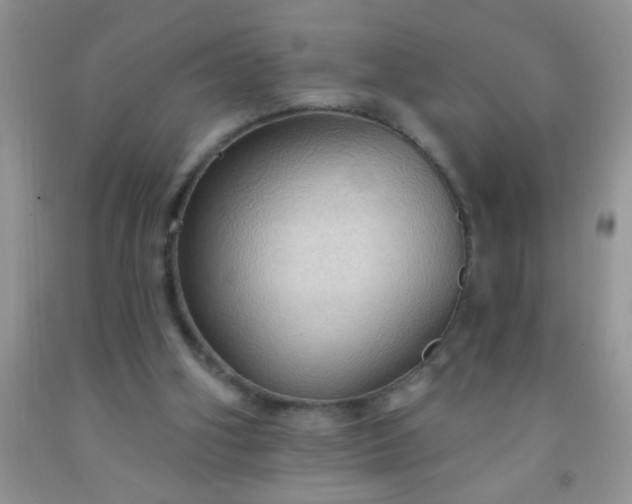 X0000092030106200709201620