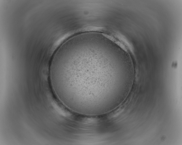 X0000092030107200709201620