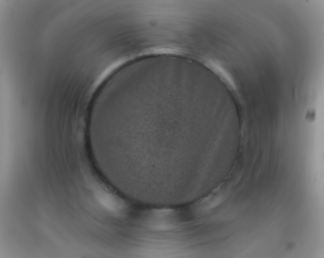 X0000092030108200709201620