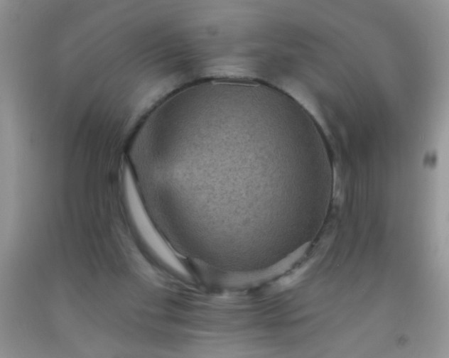 X0000092030109200709201620