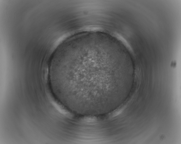 X0000092030110200709201620