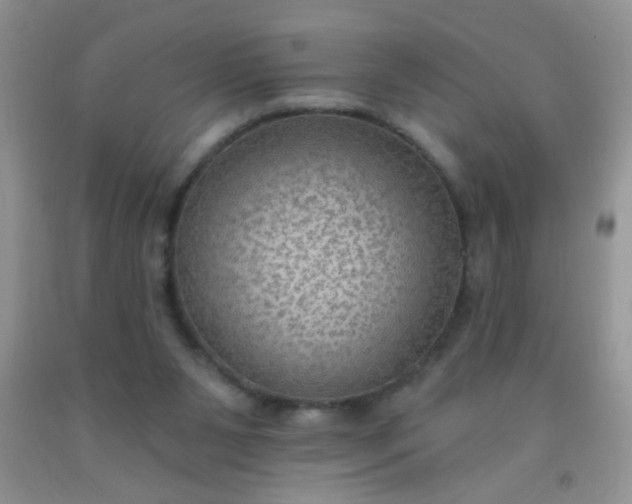 X0000092030111200709201620