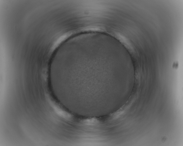 X0000092030112200709201620