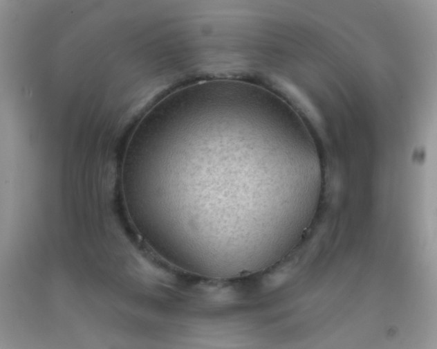 X0000092030113200709201620