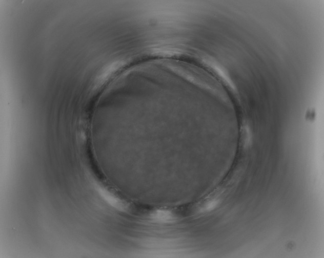 X0000092030114200709201620