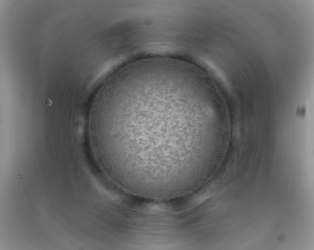 X0000092030115200709201620