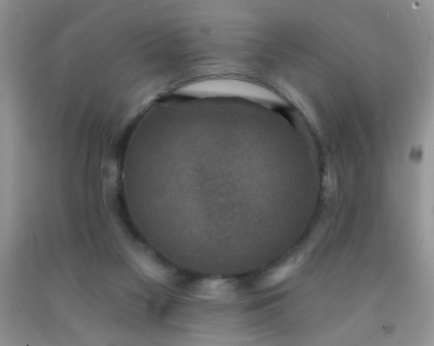 X0000092030117200709201620