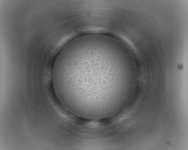 X0000092030119200709201620