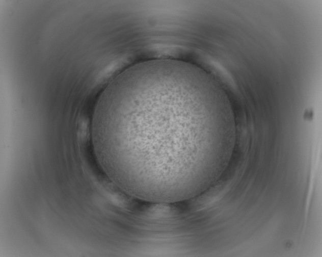 X0000092030123200709201620