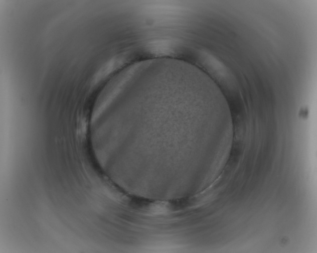 X0000092030124200709201620