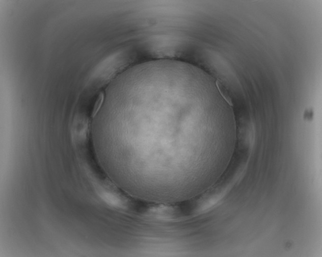 X0000092030125200709201620