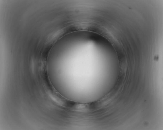 X0000092030126200709201620