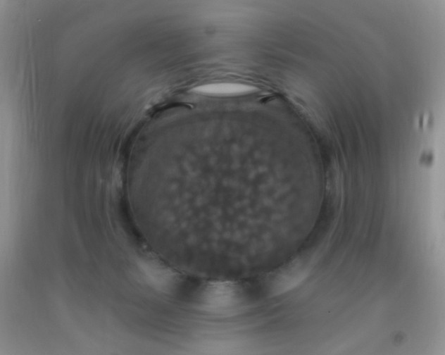 X0000092030127200709201620