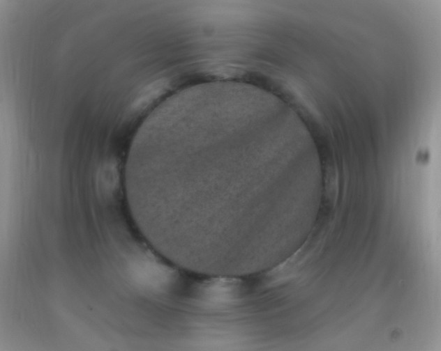 X0000092030128200709201620