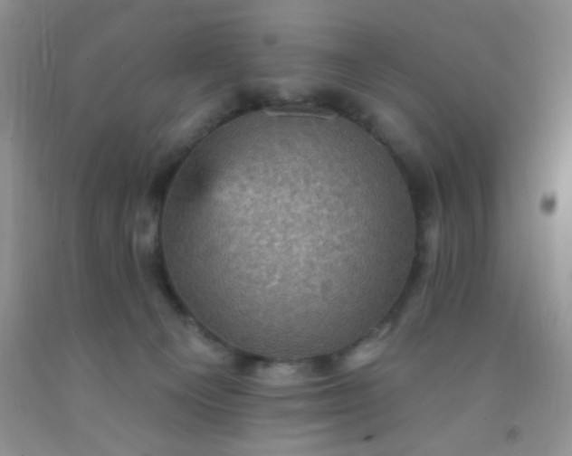 X0000092030129200709201620