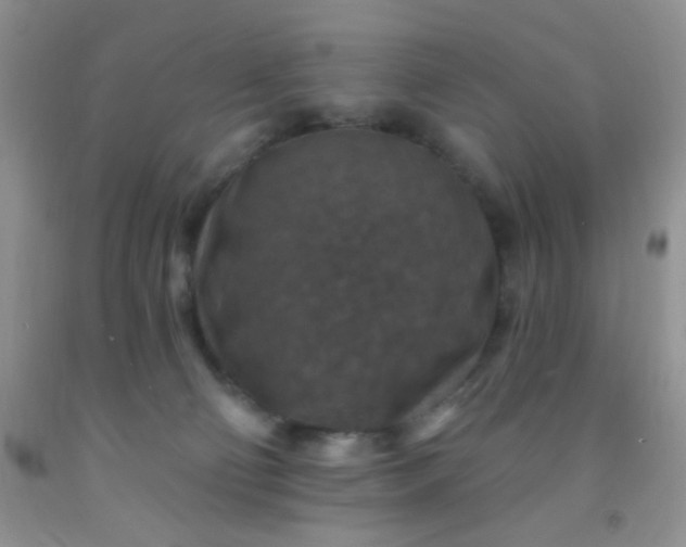 X0000092030130200709201620