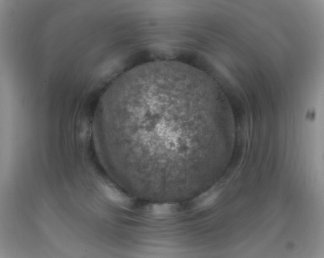 X0000092030134200709201620