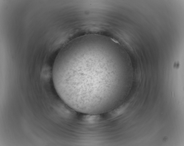 X0000092030135200709201620