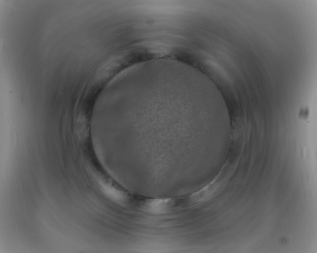 X0000092030136200709201620