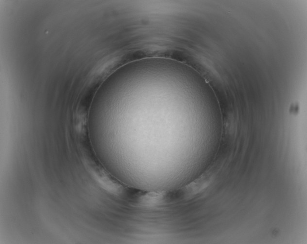 X0000092030138200709201620