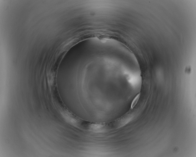 X0000092030139200709201620