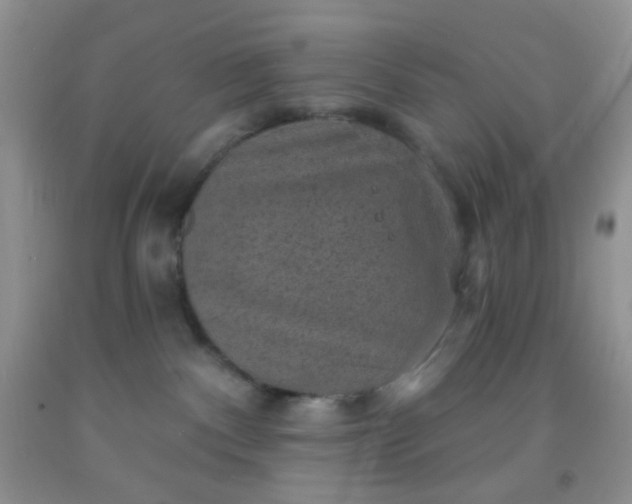 X0000092030140200709201620