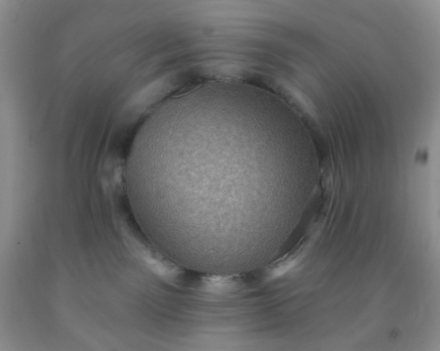 X0000092030141200709201620