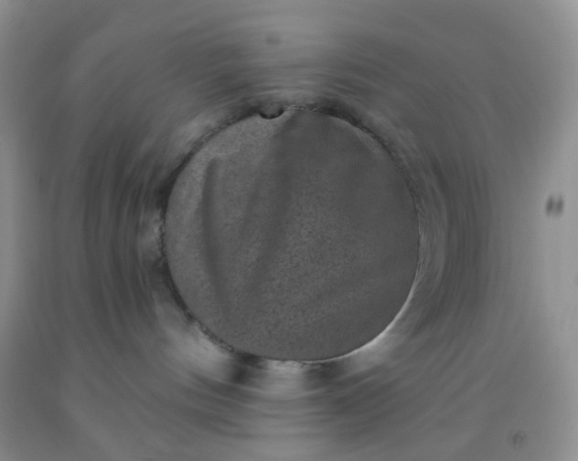 X0000092030144200709201620