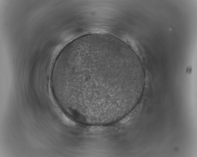 X0000092030145200709201619