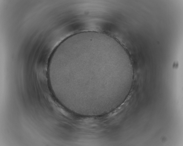 X0000092030146200709201619