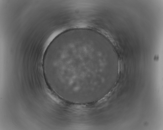 X0000092030147200709201619